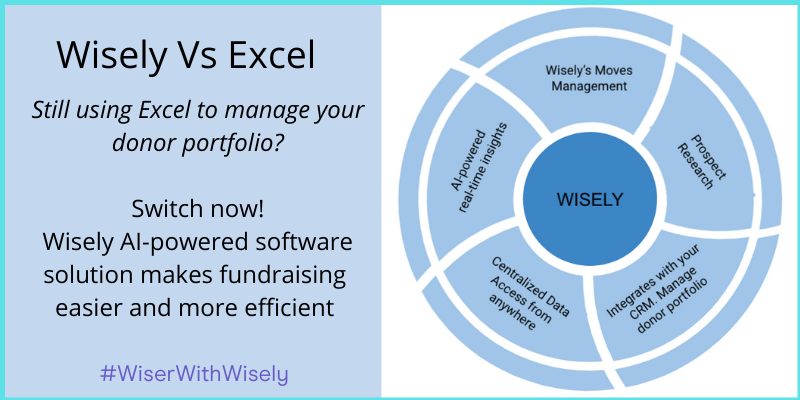 Wisely Vs Excel | Why you should use Wisely instead of Excel