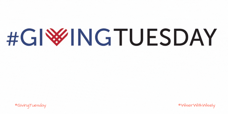 Wisely | Running a Successful Giving Tuesday Campaign for Mid-level Donors